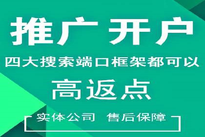 XX领域竞价广告的投放策略及效果展示